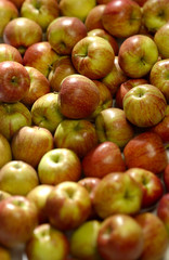 appels met tilt shift