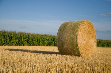 Strohballen auf dem Feld