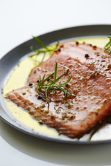 Salmon