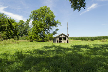 Old Building on Abandoned Homestead