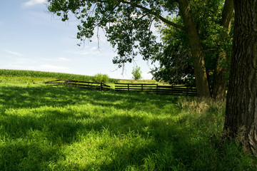 Old Broken Fence on Abandoned Homestead