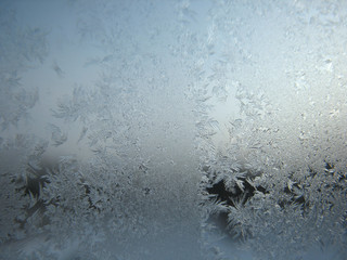 frozen winter window