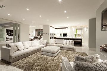 Cozy living room with spacious sofas