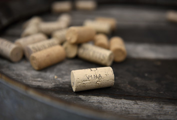 Vina