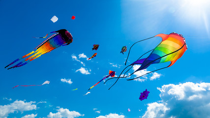 Various kites flying on the sky - Powered by Adobe