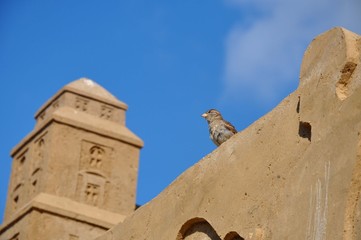 Ein Schloss aus Sand