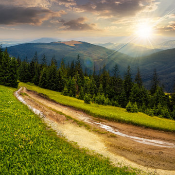 road through conifer forest in mountains at sunset