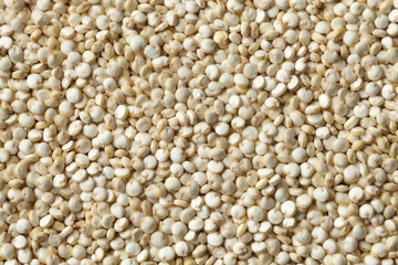 Raw Quinoa seeds close up