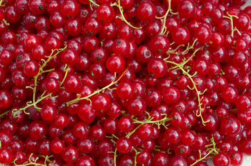 Background from redcurrants