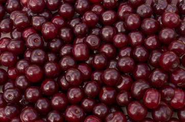 Background from ripe fresh red cherries