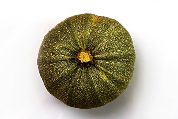 Zucchini