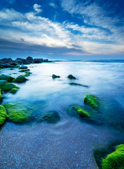 Green Stones in Tel Aviv