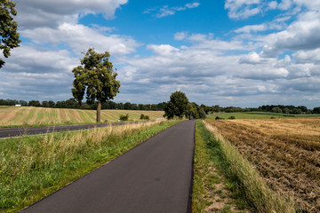 Radweg an der Hohensteiner Chaussee 