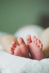 adorable newborn baby feet