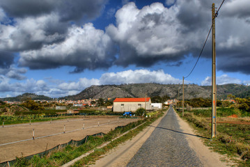 Fototapeta na wymiar Straight road near the beach in Viana do Castelo, Portugal
