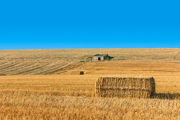 landscape of a wheat field with bales and a house 