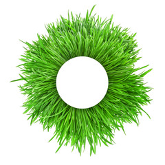 Grass background