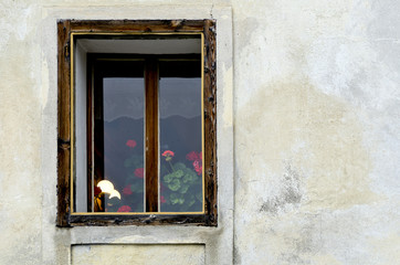 Fototapeta na wymiar Altes Fenster mit Blumen