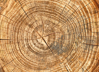 cracked wooden background