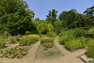 Parcelles de plantes rares au Jardin Botanique de Bordeaux 