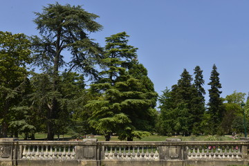 Les arbres variés depuis la rambarde en pierre du Jardin Botanique de Bordeaux