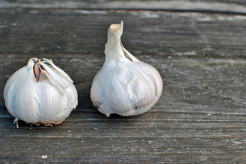 fresh garlic