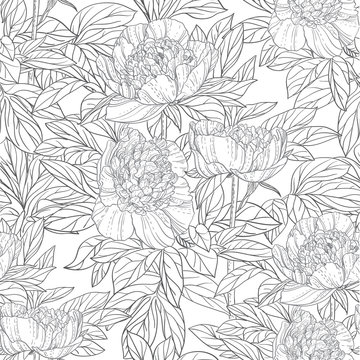 Seamless pattern of flowers peonies black and white graphics