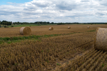 Fototapeta premium Feld mit Strohballen - Märkische Schweiz