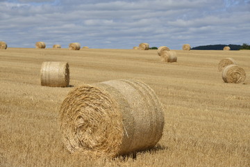 Ballot de foin enroul&eacute; 