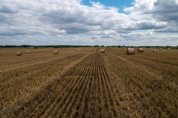Fototapeta premium Feld mit Strohballen - Märkische Schweiz