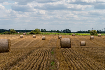 Feld mit Strohballen - Märkische Schweiz