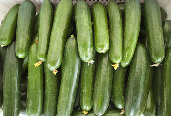 Cucumbers