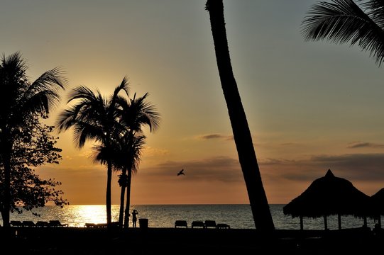 sunset 