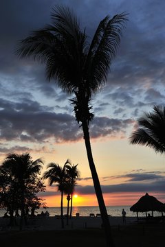 sunset 