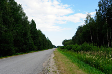Fototapeta na wymiar Landstraße im Puhata Nationalpark / Estland
