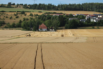 Getreideernte in Eichstätt BY