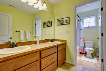 Fototapeta na wymiar Lovely bathroom with green walls.