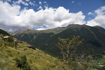 Fototapeta na wymiar montagne verdi cime alpi cielo nuvole panorama