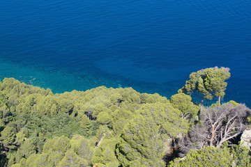 Fototapeta na wymiar Coastal green vegetation and turquoise Mediterranean water