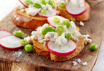 toasted bread with radish and cottage cheese