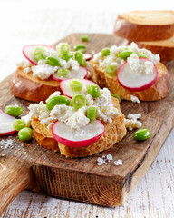 toasted bread with radish and cottage cheese
