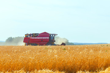 Obraz premium combine harvester