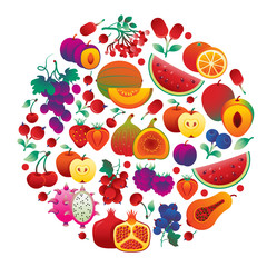 Composition of fruits in a shape of circle.