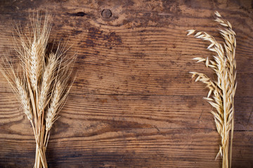 Ears of wheat and oat