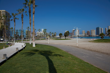 Obraz premium Walkway and palm trees along Cavancha Beach in Iquique, northern Chile.