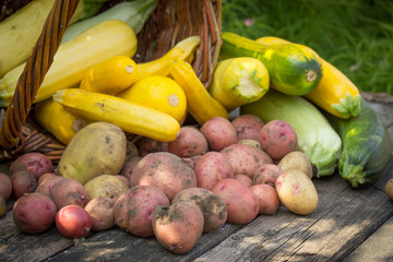 yellow, green zucchini, potatoes, stained ground on old wooden t