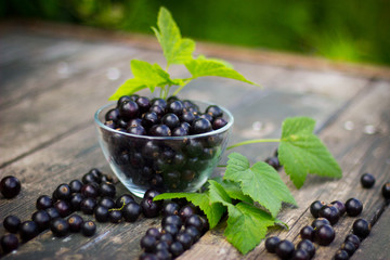 black currant in a glass bowl transparent scattered on the old w