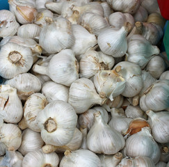 Closeup of Fresh Garlic at the Farmers' Market