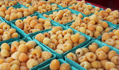 Baskets of Golden Raspberries at the Farmers' Market