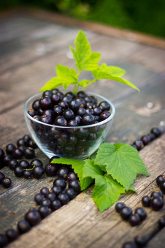 black currant in a glass bowl transparent scattered on the old w